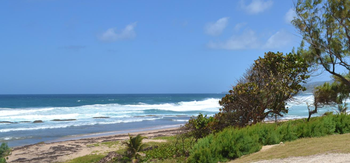 Barclays Park, Benab, Barbados